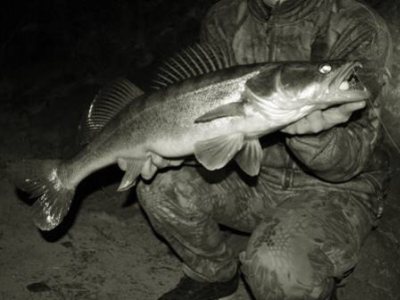 Jak lovit candáty na řece v noci: Tipy pro začínající rybáře
