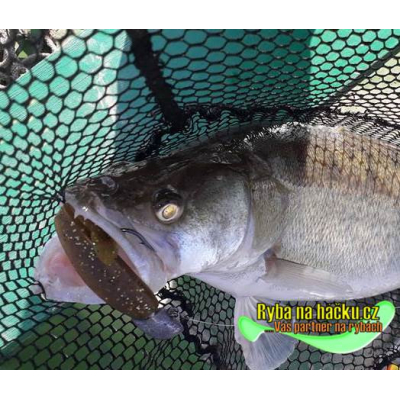 Monarch Dok Trigger 12 Motoroil