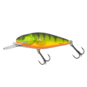 Salmo perch 14 SDR HP