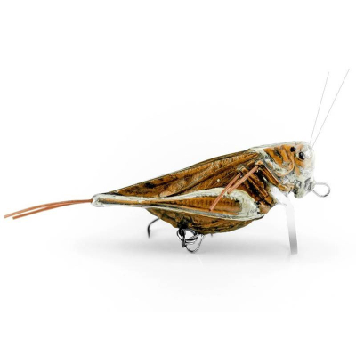 Imago Hopper 4.5cm F - DBC