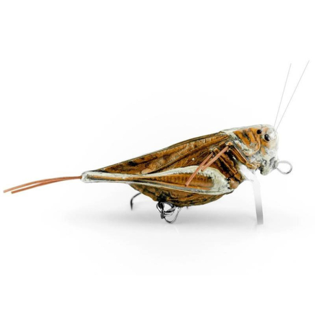 Imago Hopper 4.5cm F - DBC