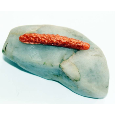 Dekoj DC Worm 5cm barva cihlová 10 kusů