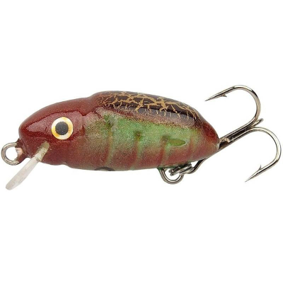 Hunter Chrabąszcz XXL 3.5cm F - BRP