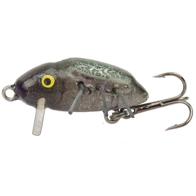 Hunter Chrabąszcz 2.4cm FS - BP