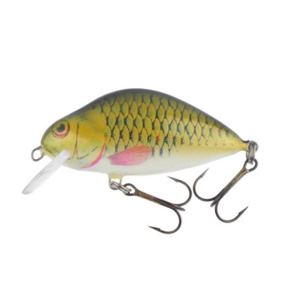 Dorado Lake 5cm floating G