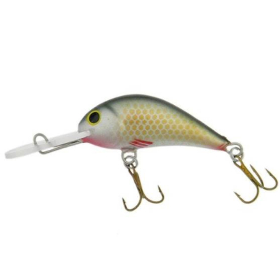 Wobler Gloog Parys  40NF - NS plovoucí