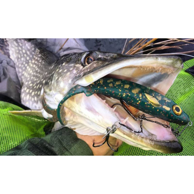 EJ Lures Flatnose Dragon 27cm 50g - Motorpike
