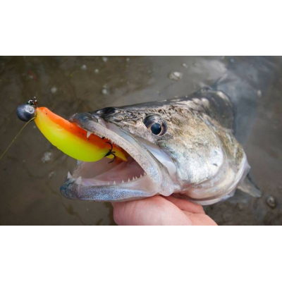 Monarch Dok Spickey Shad 13 Papaya