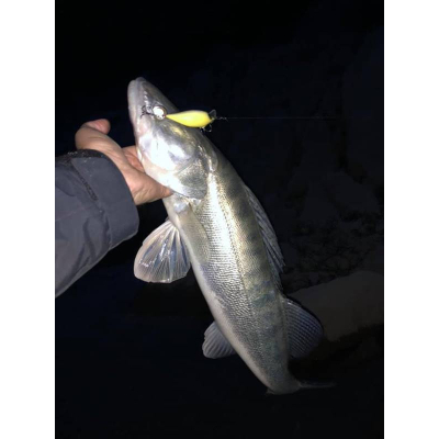 Wobler na candáty Monarch Dok Bombic 7 FAT SFC