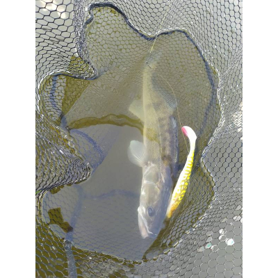 Ripper SG 4D Herring Shad 16cm 28g Pike