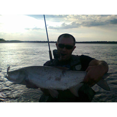 Wobler Bonito Bolen 7cm barva 24