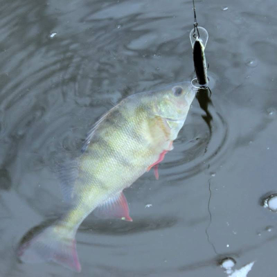 Bonito ouklej 7cm sinking L40