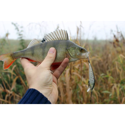 Bonito ouklej 7cm sinking L40