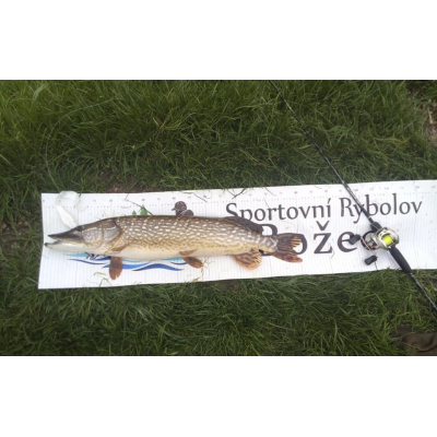 Twister Dok´s frogtail 25cm Pearl White