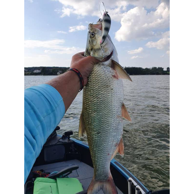 Wobler Bonito Szczupak 12,5cm plovoucí barva okoun