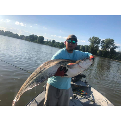 Wobler Bonito Szczupak 12,5cm na trolling N043