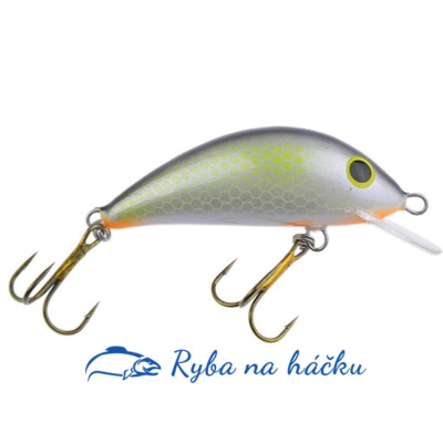 Wobler Gloog Hektor 60F-RGF