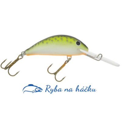 Wobler Gloog Hektor SDR 60F-NPG plovoucí