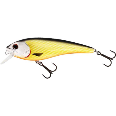 Westin RawBite 15cm 61g floating Official Roach