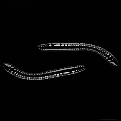 LIBRA LURES Fatty D’Worm Tournament 55 – 040 Black – 12ks) příchuť sýr