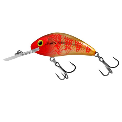WOBLER SALMO HORNET RATTLIN H6.5 - GOLDEN RED HEAD plovoucí