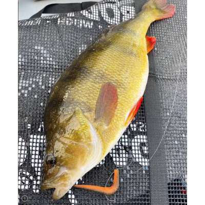 Westin Ned Worm 9cm 5g Motoroil Pepper 6 pcs