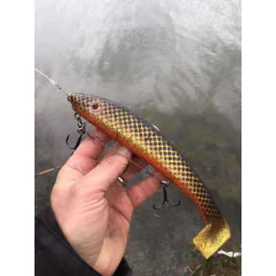 Ripper Svartzonker Big McRubber 25cm - C20 McStrong (balení 2 ks)