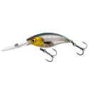 BuzzBite DR Crankbait 6,5cm 14g Floating 3D Headlight