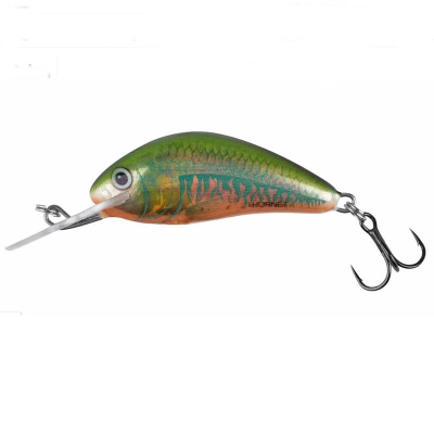 Wobler Salmo Hornet 2S Holographic Oikawa sinking