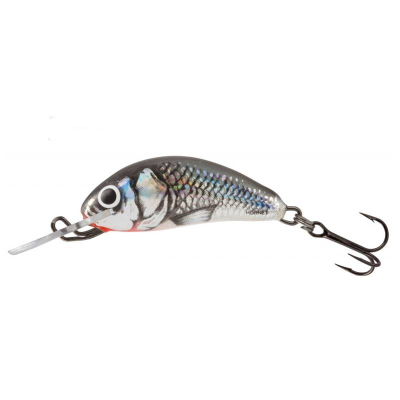 Wobler Salmo Hornet 2S HGS sinking