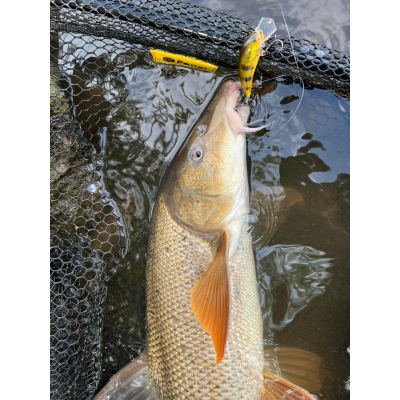 Wobler na okouny, jelce a parmy Bonito Sandacz 5cm barva C03 plovoucí