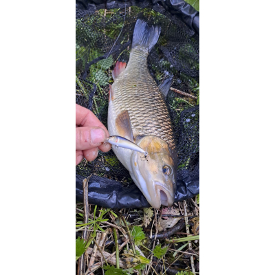 Bonito ouklej 5cm barva N24 potápivá