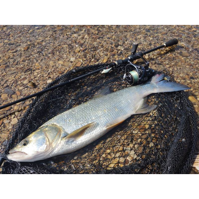 Wobler Bonito okon 4cm SR plotička plovoucí