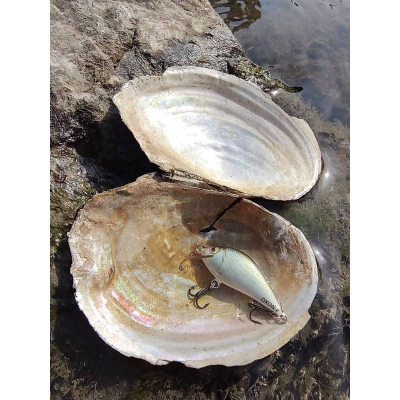 Wobler Bonito okon 4cm SR plotička plovoucí