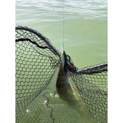 štika chycená na wobler Bonito Krap 11,5cm DR plovoucí barva Blue Silver