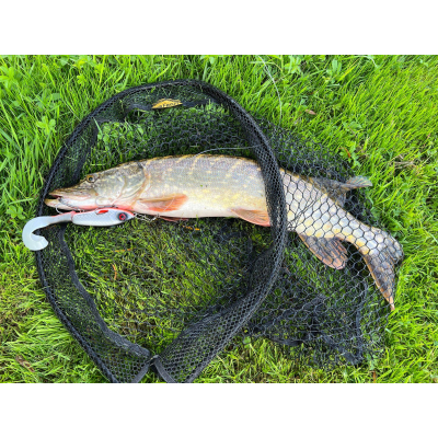 Abu Garcia Svartzonker McHybrid 165mm 74g - Fegis