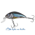 Wobler Salmo Rattlin´Hornet Shallow 4,5 SR barva Clear Holo Smelt plovoucí