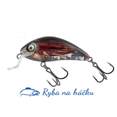 Wobler Salmo Rattlin´Hornet Shallow 4,5 SR barva Real Cockchafter plovoucí