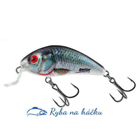 Wobler na okouny Salmo Rattlin´Hornet Shallow 3,5 SR barva Holographic Real Dace plovoucí
