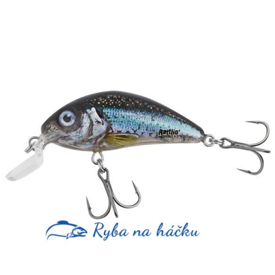Wobler Salmo Rattlin´Hornet Shallow 3,5 SR barva Clear Holo Smelt plovoucí