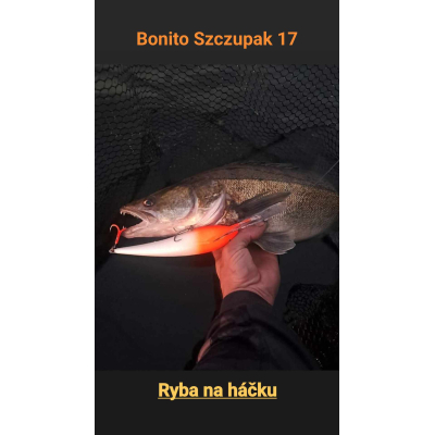 Hlubokopotápivý wobler s ponorem do 10m Wobler Bonito Szczupak 17cm barva OR plovoucí
