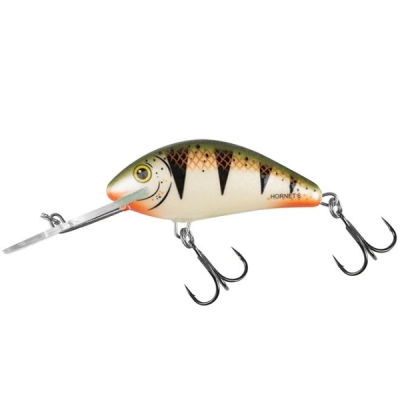 Wobler Salmo Hornet 6F Nordic Perch plovoucí