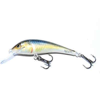 Bonito Teczak 7cm F K34