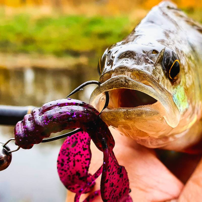 Perch Professor Fapping Craw 2”/5,5cm 02 Purple Pepper - 6pcs