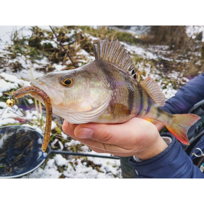 Perch Professor Flying Worm 2,75”/7cm MIX - 6pcs