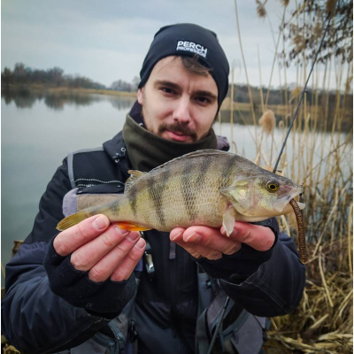 Perch Professor Flying Worm 3,5”/9cm MIX - 5pcs