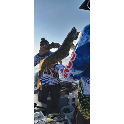 Wobler Bonito Krap 13cm 47g SR 3D Suspending barva Blue pearl BKK Hooks