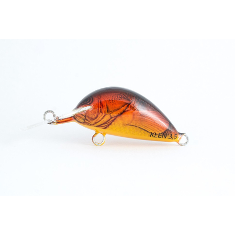 Bonito Kleń F 3,5cm 05