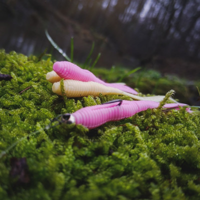 Perch Professor F**king Leech 2,75”/7cm 05 Bubblegum LIMITED 8 pcs