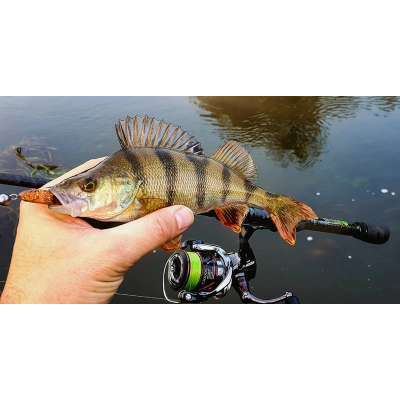 Perch Professor Fluky Shad 2,5"/6,5cm MIX 6 pcs